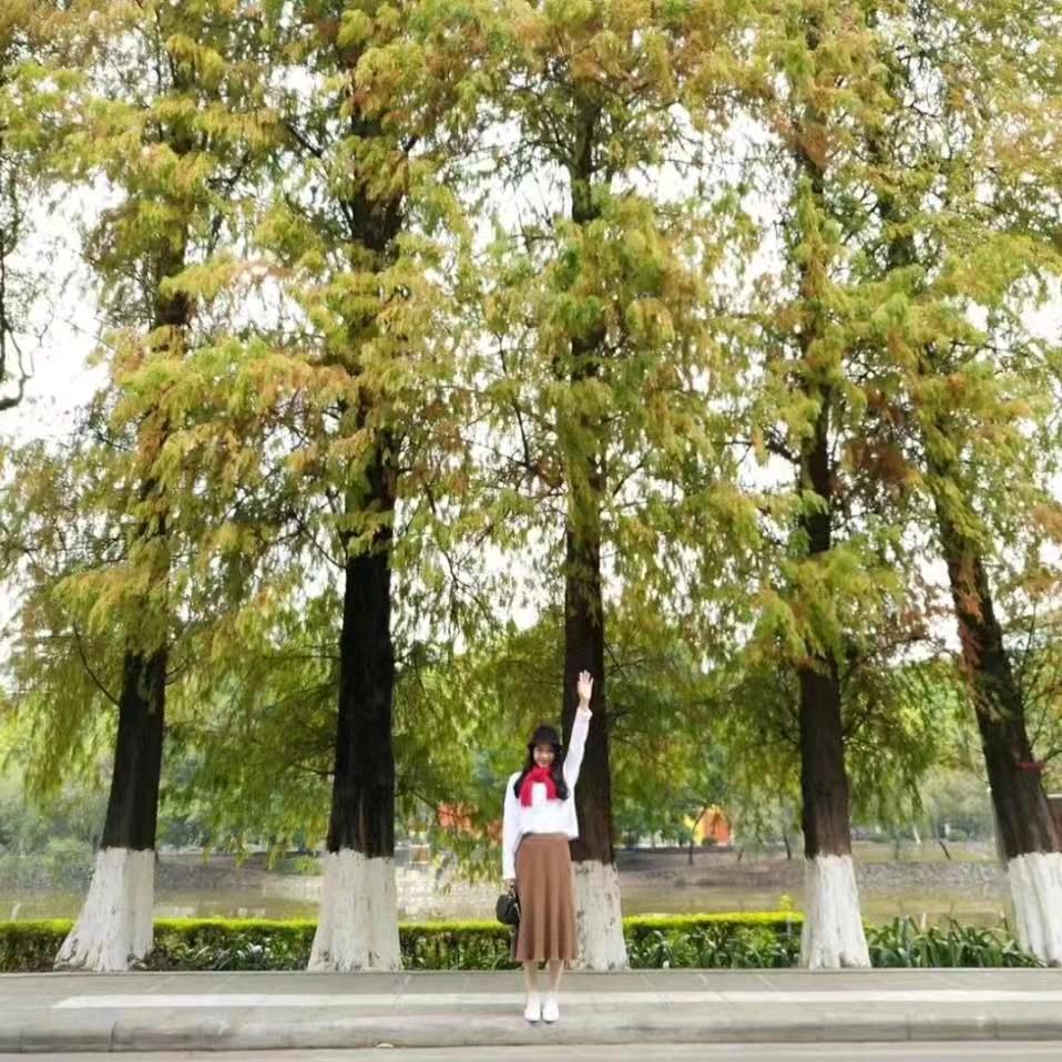 理想