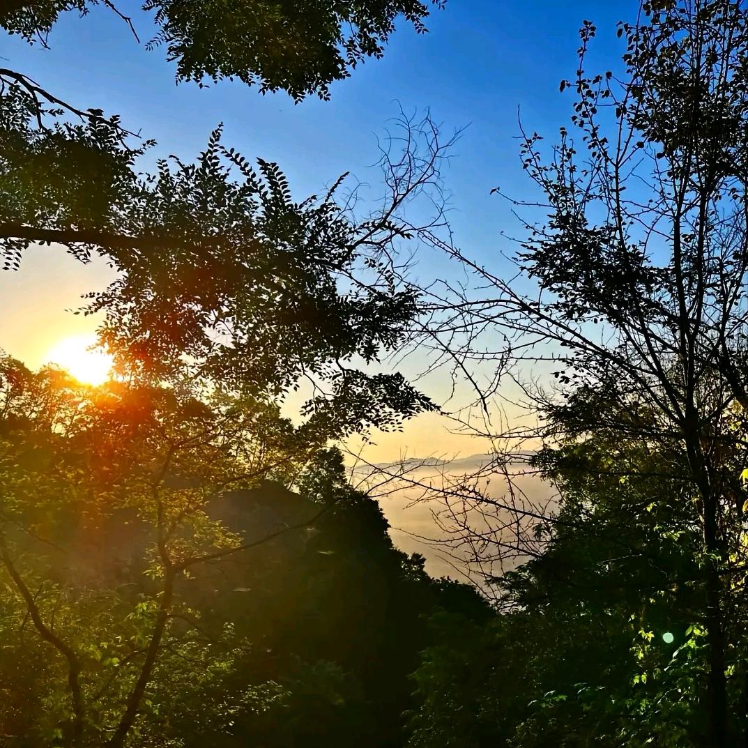 爱吃沙拉酱的邪恶鸡叉骨