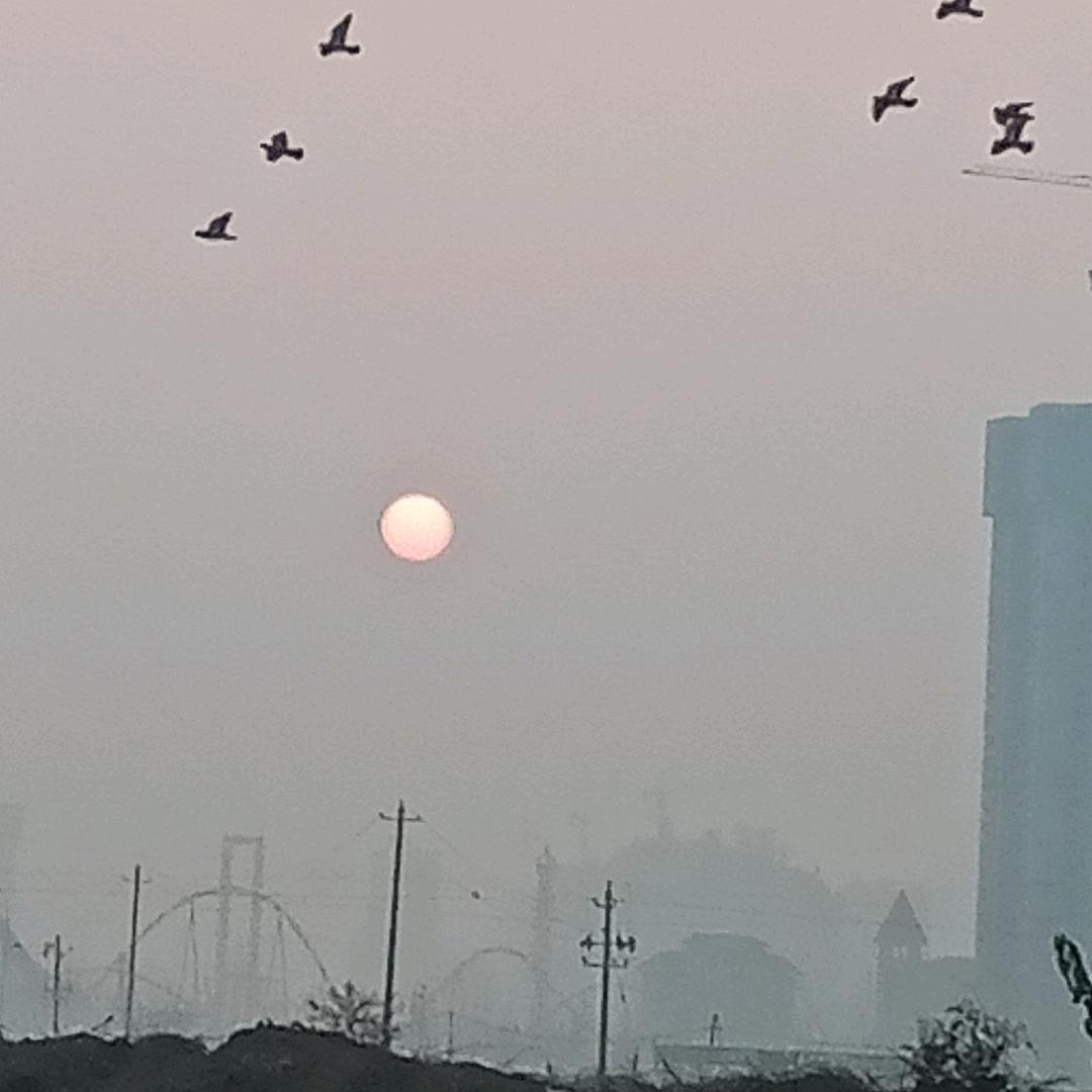 枫叶🍁润诚