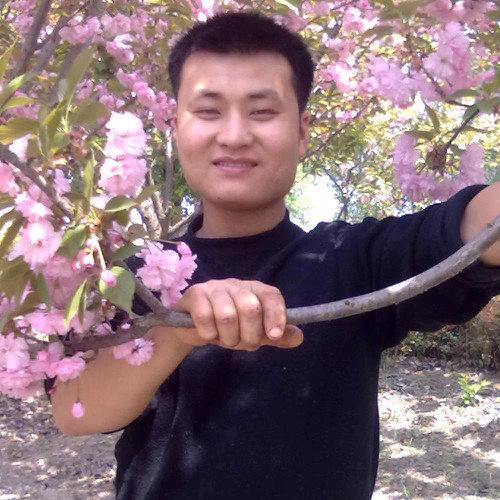 秋天里的落叶