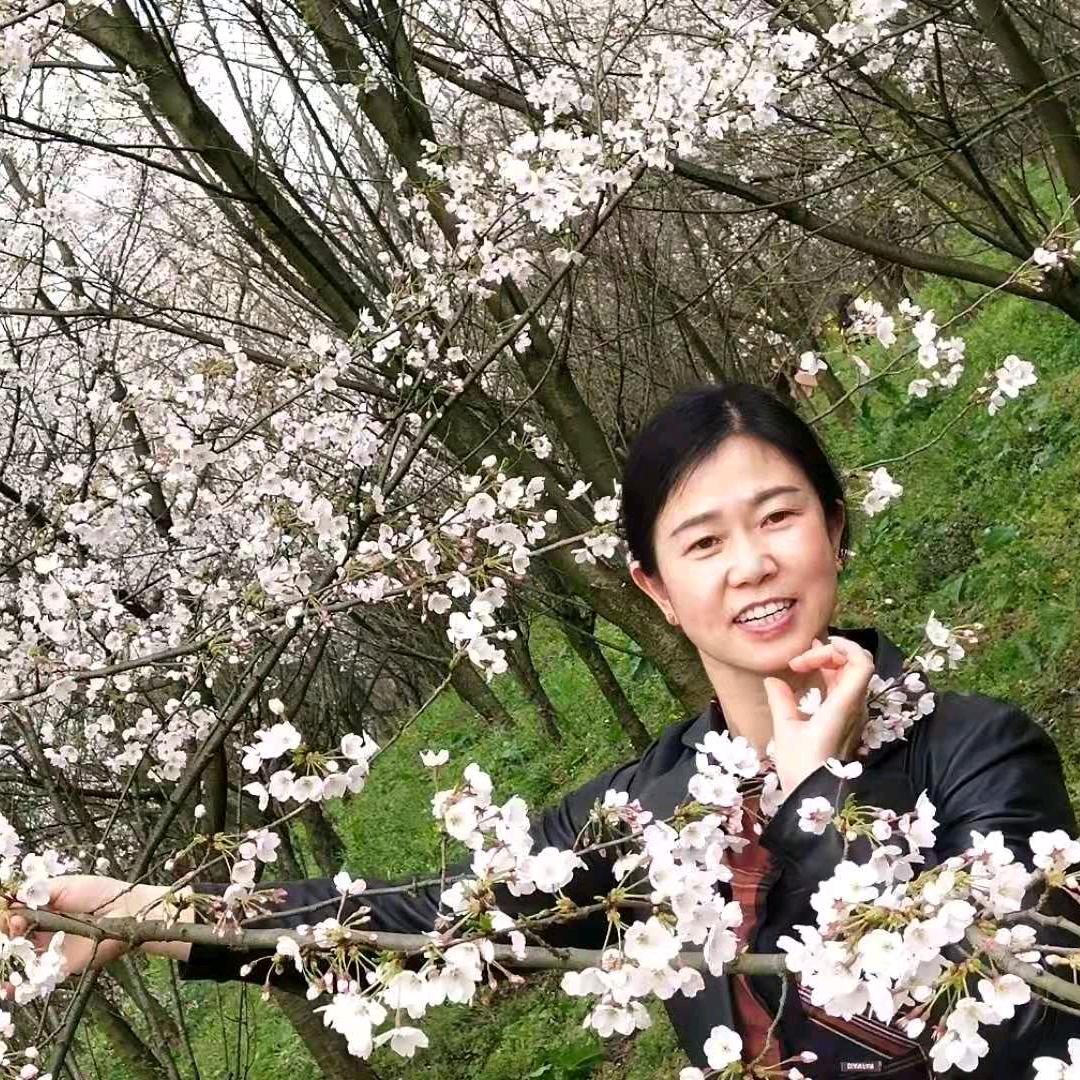 @枫叶