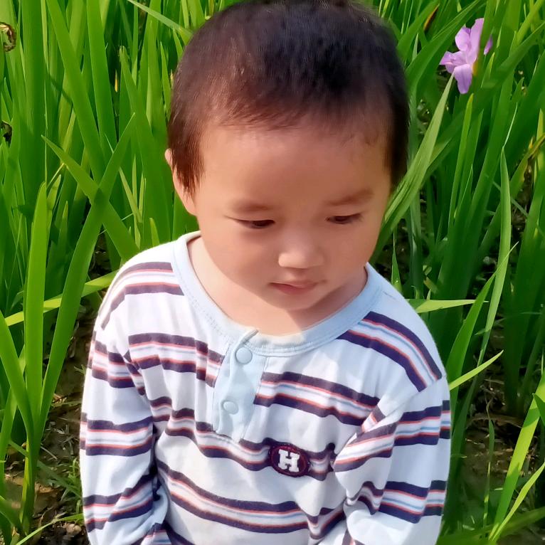 地摊上买幸福