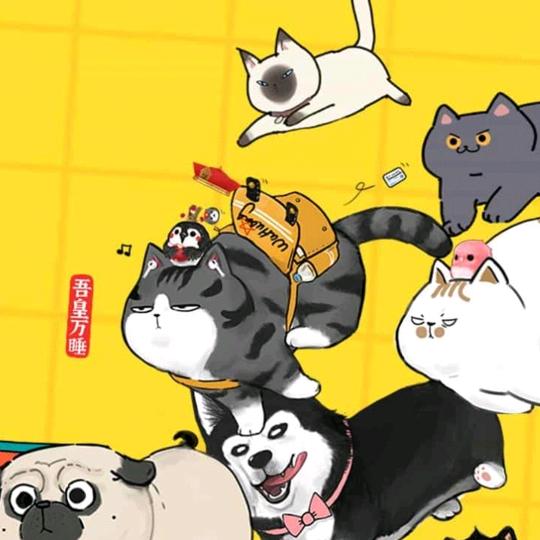 苏乞儿