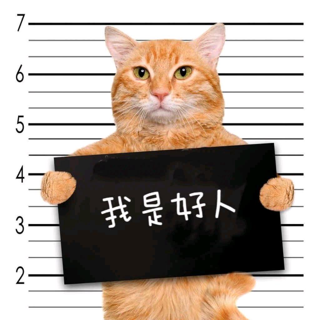 牵只小猪看日出