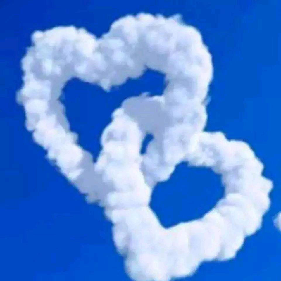 💘看淡💞一切🐇