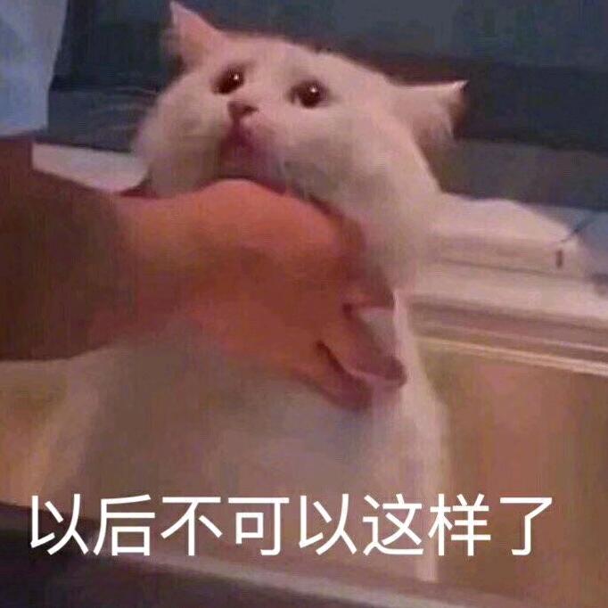 噗噗噗噗噗