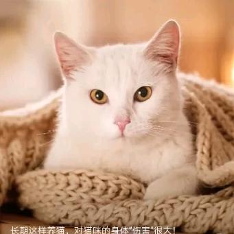 看啥看，再看就把你吃掉