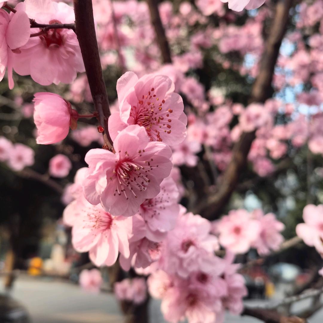 冰封💟记忆🕉✡️