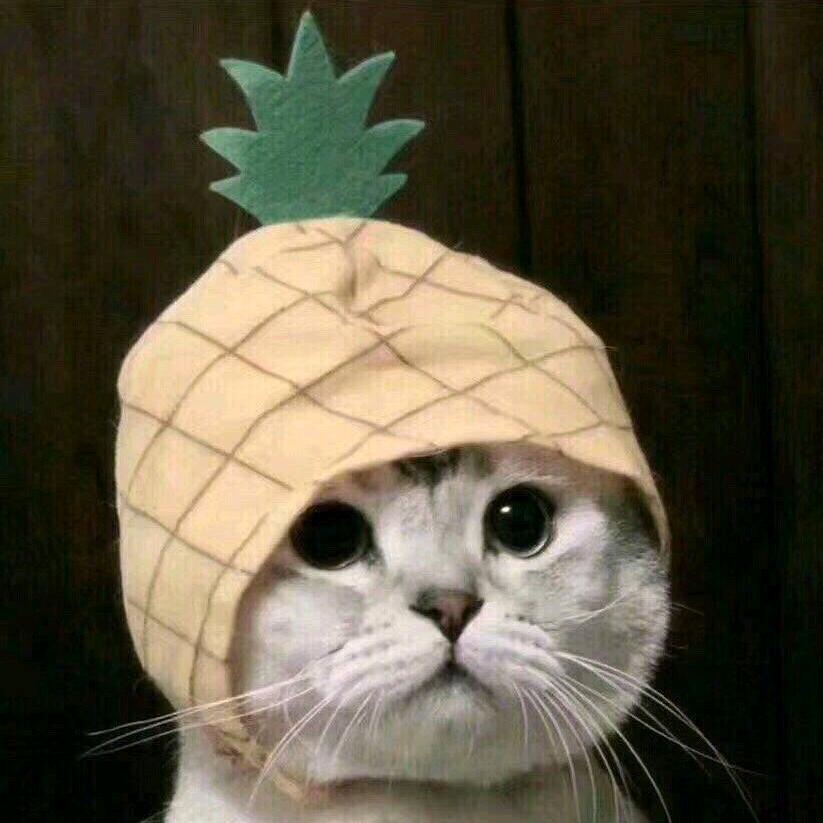 咕咕鸡呀🌈