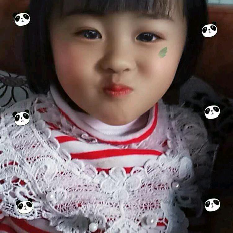 @陈家大小姐