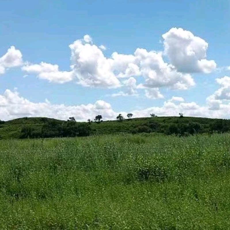李万雷