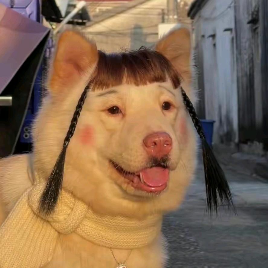 悠悠一梦丶