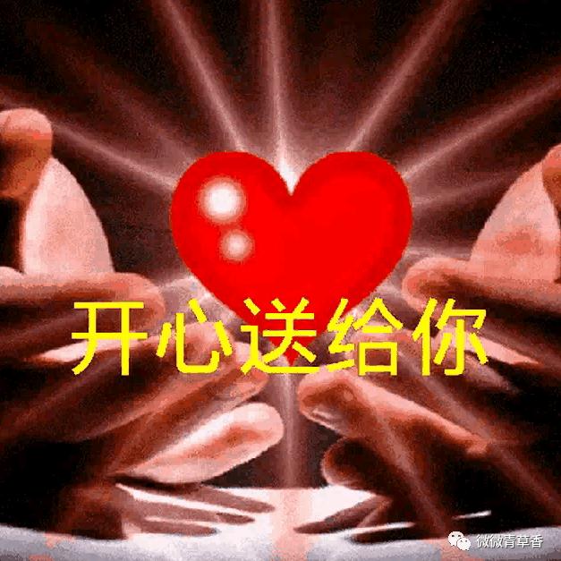 星星知我❤