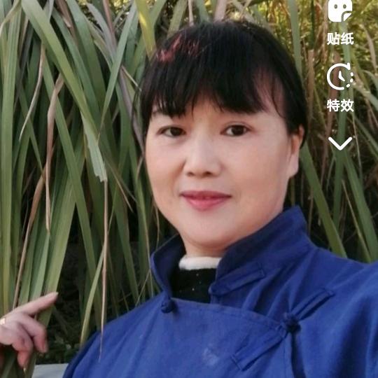 桃姐姐