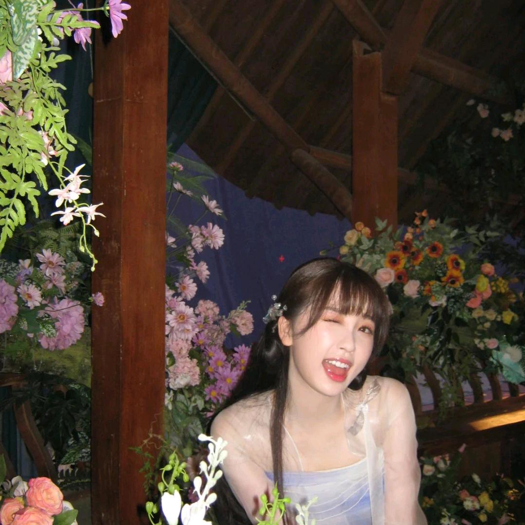 六月何花