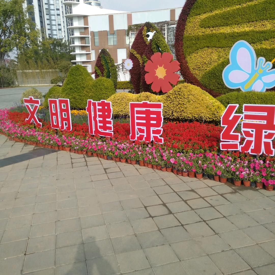 金毛犬