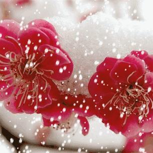 太阳☀张老师聊情感❤️心理咨询，问题少年