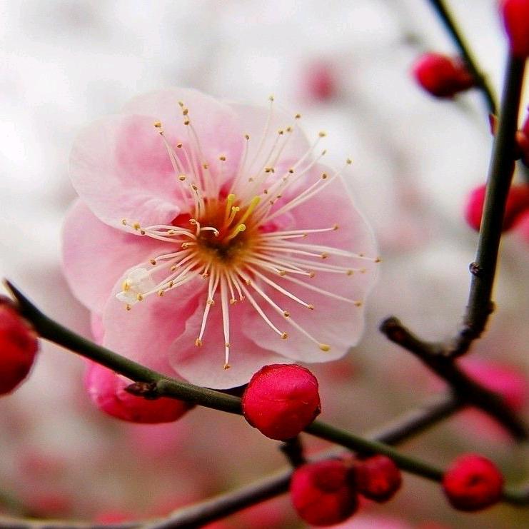 顺其自然794748602