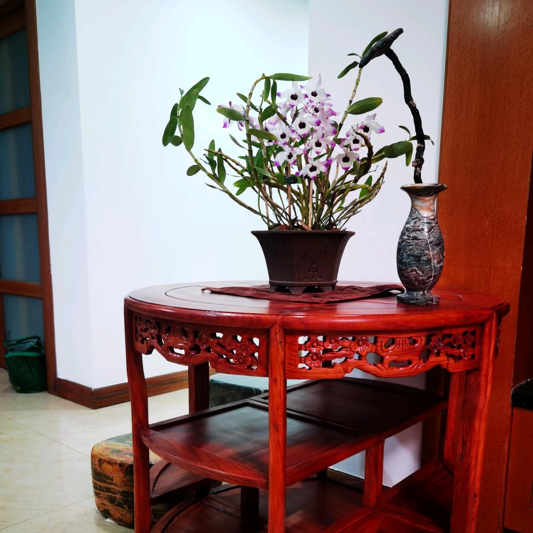 顺辉时间8622