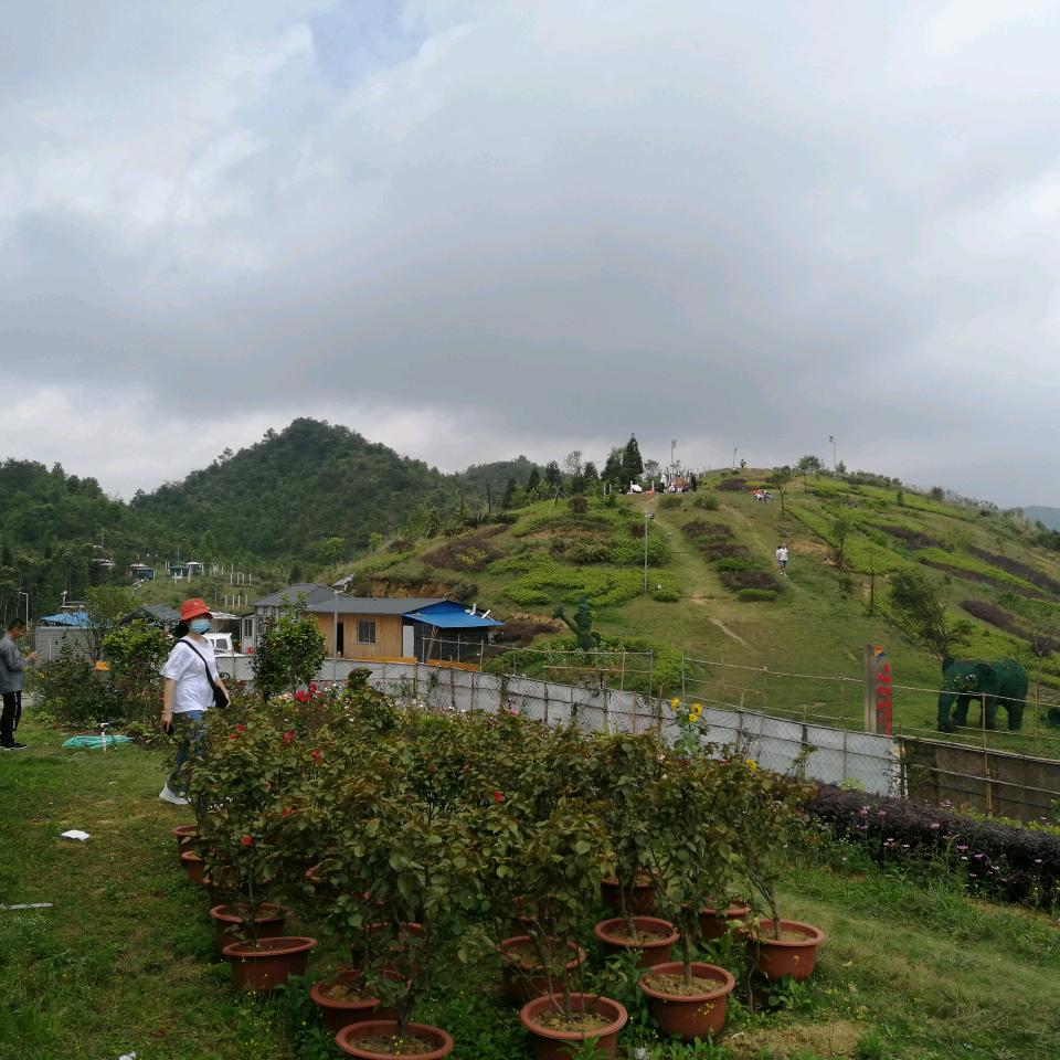 陈超
