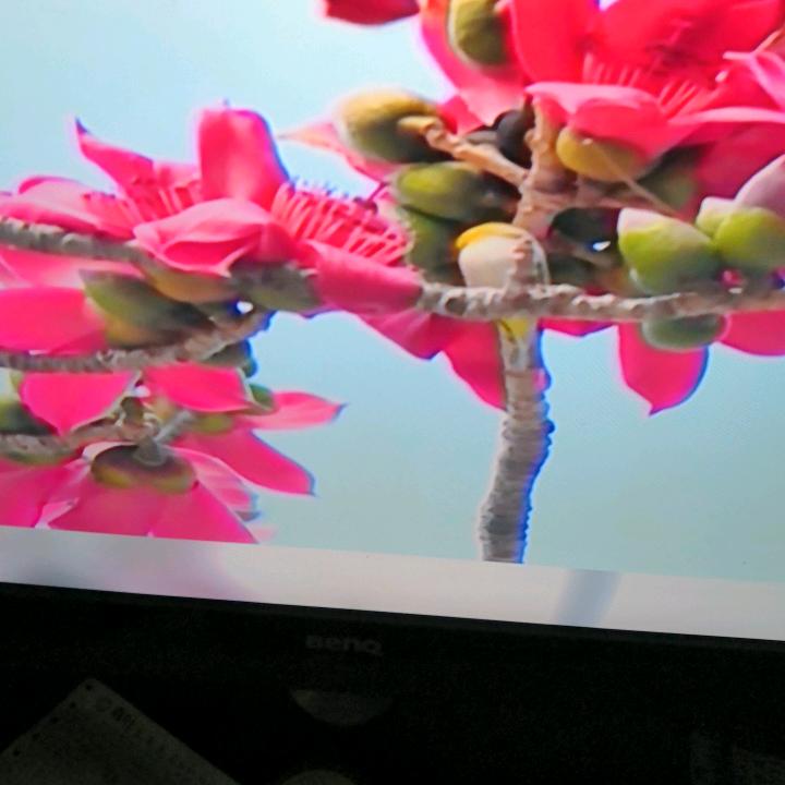 快乐人生之一