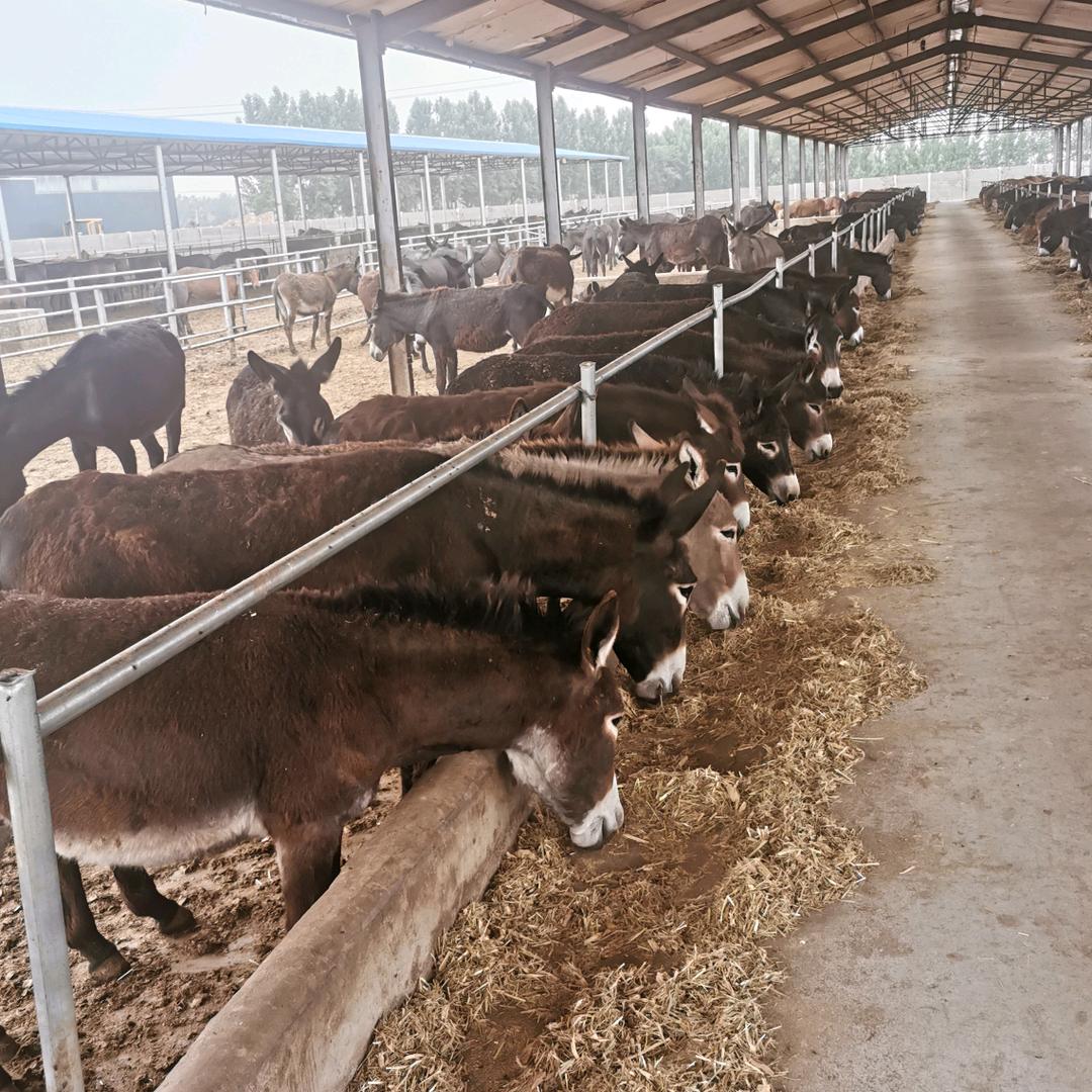 宁津县航远商贸有限公司