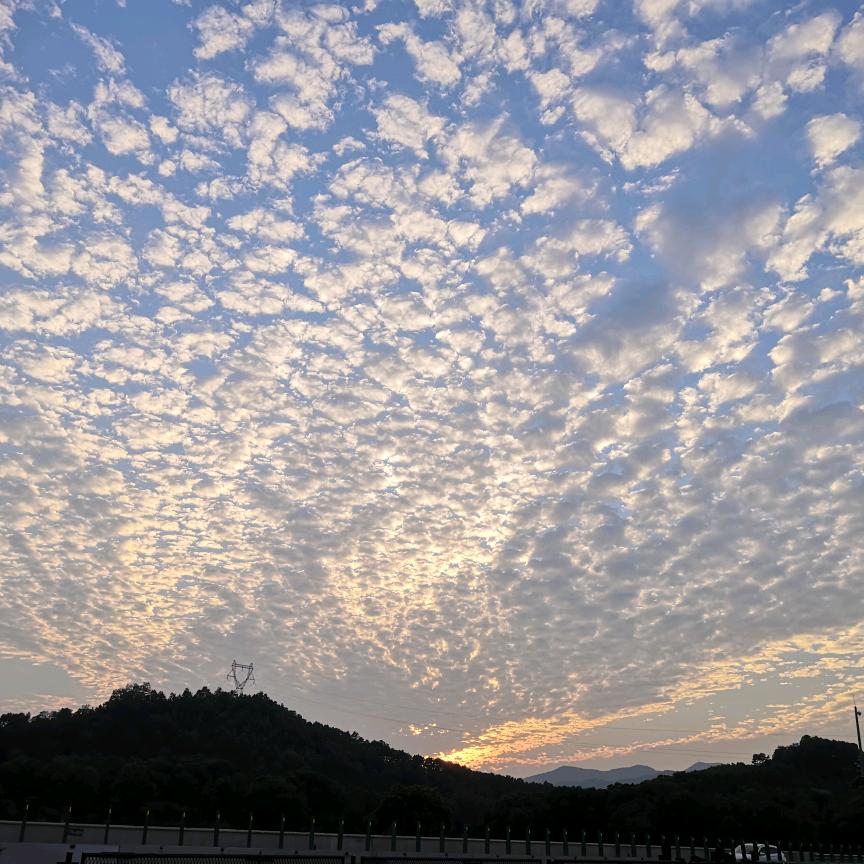 何五岁
