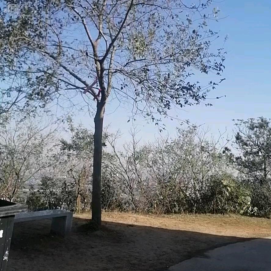 中年小伙