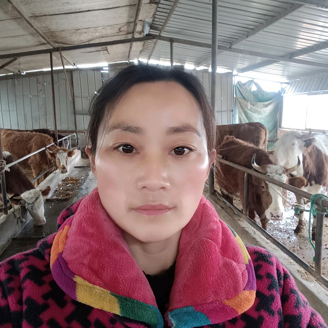 养🐮人