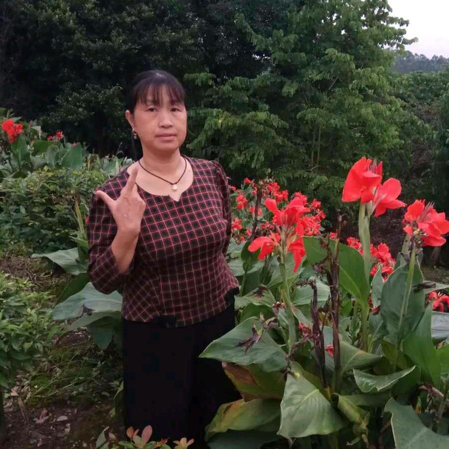 会