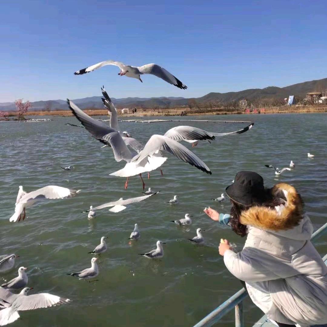 虾👻
