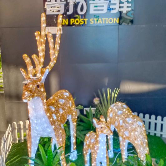 董俊伟