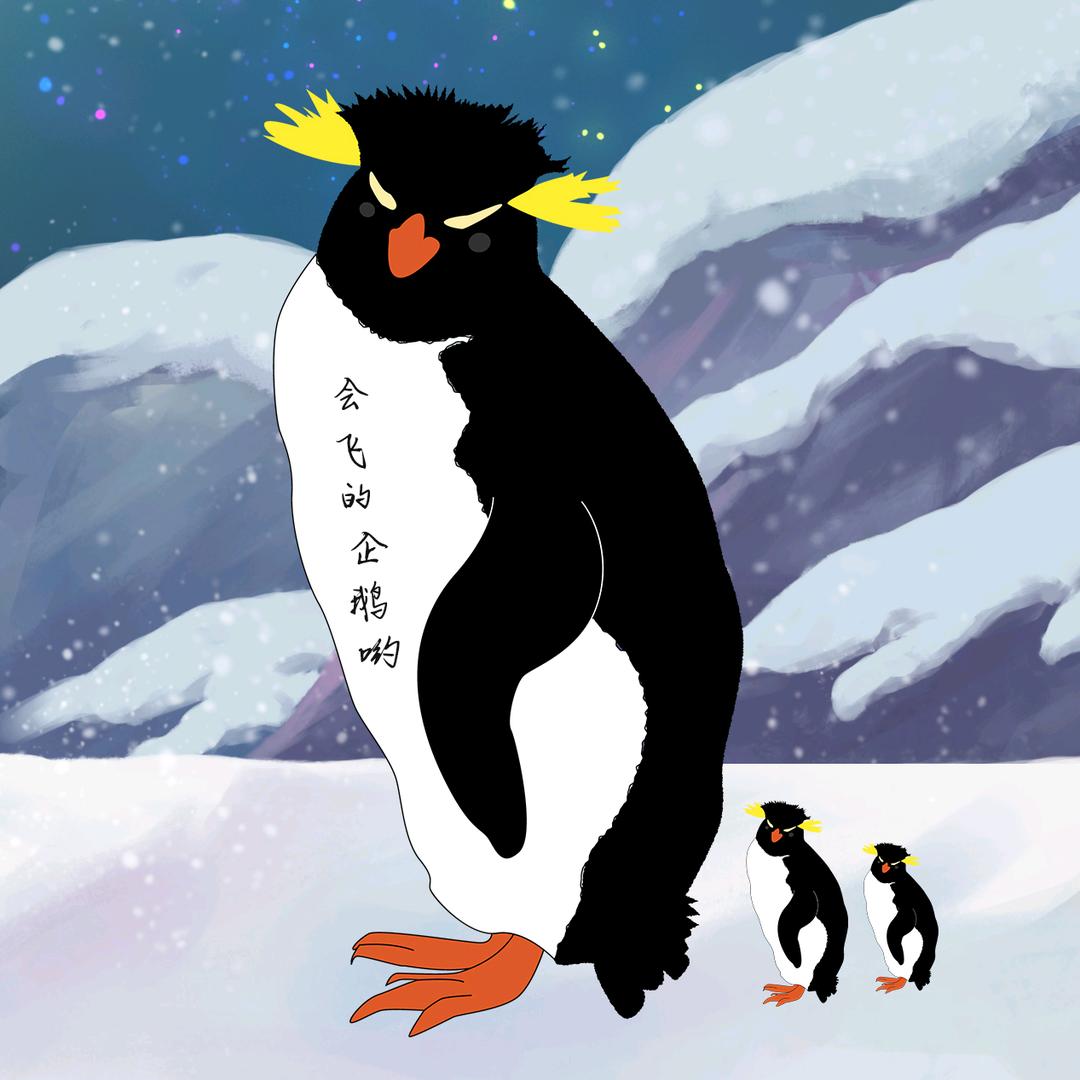 会飞的企鹅哟
