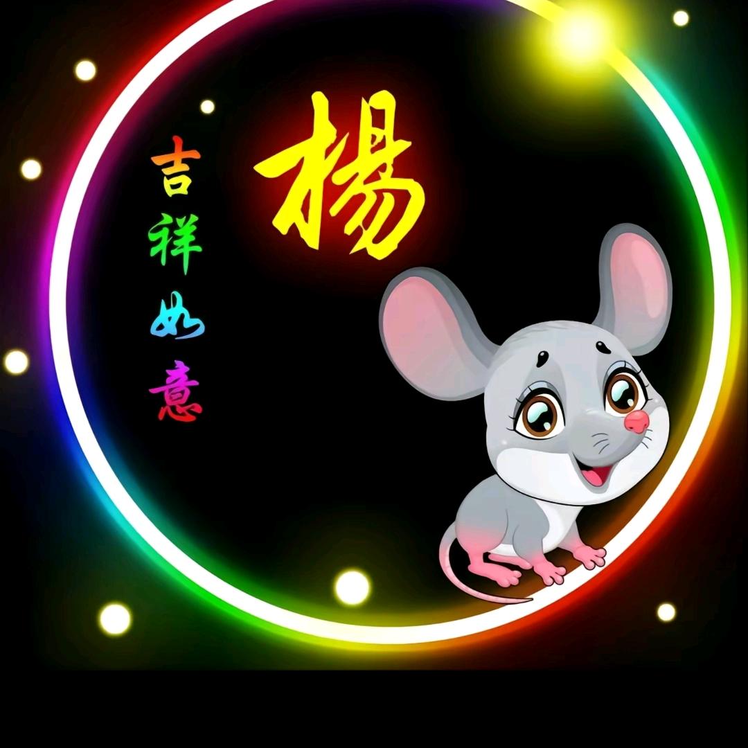 杨总
