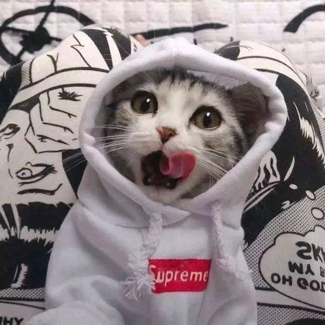 关你💨事