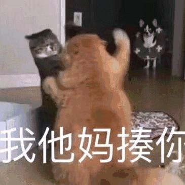 慕名而来3699