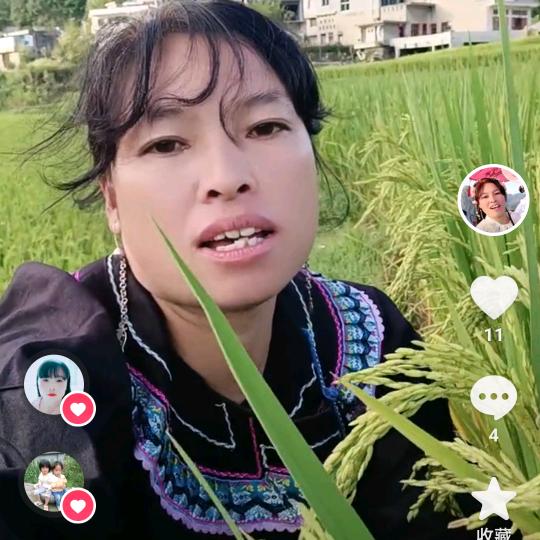 贵州秀妹（杨）