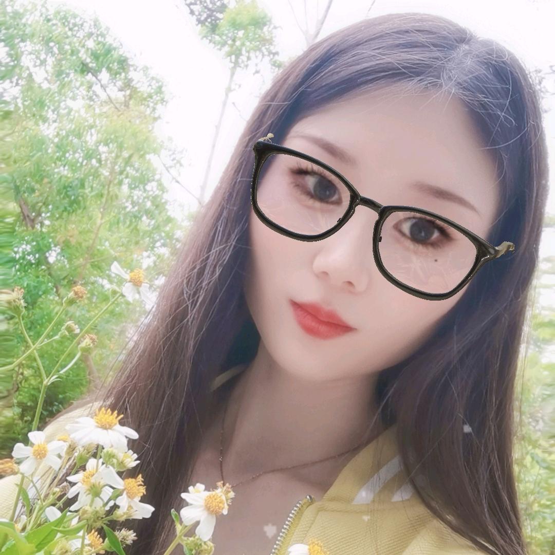 阳光下的向日葵🌻