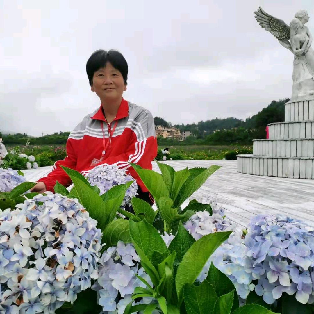 阳光