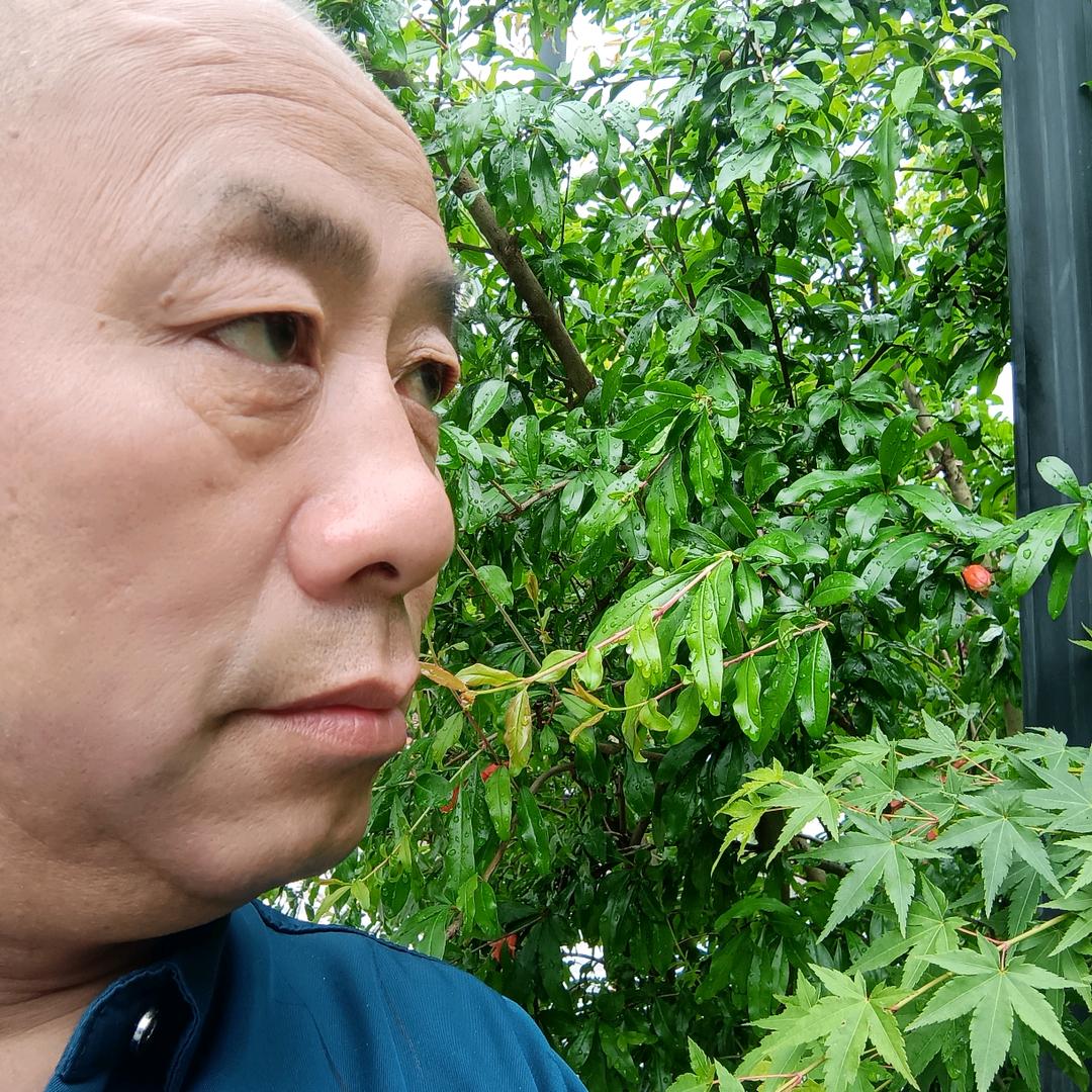 雅  哥