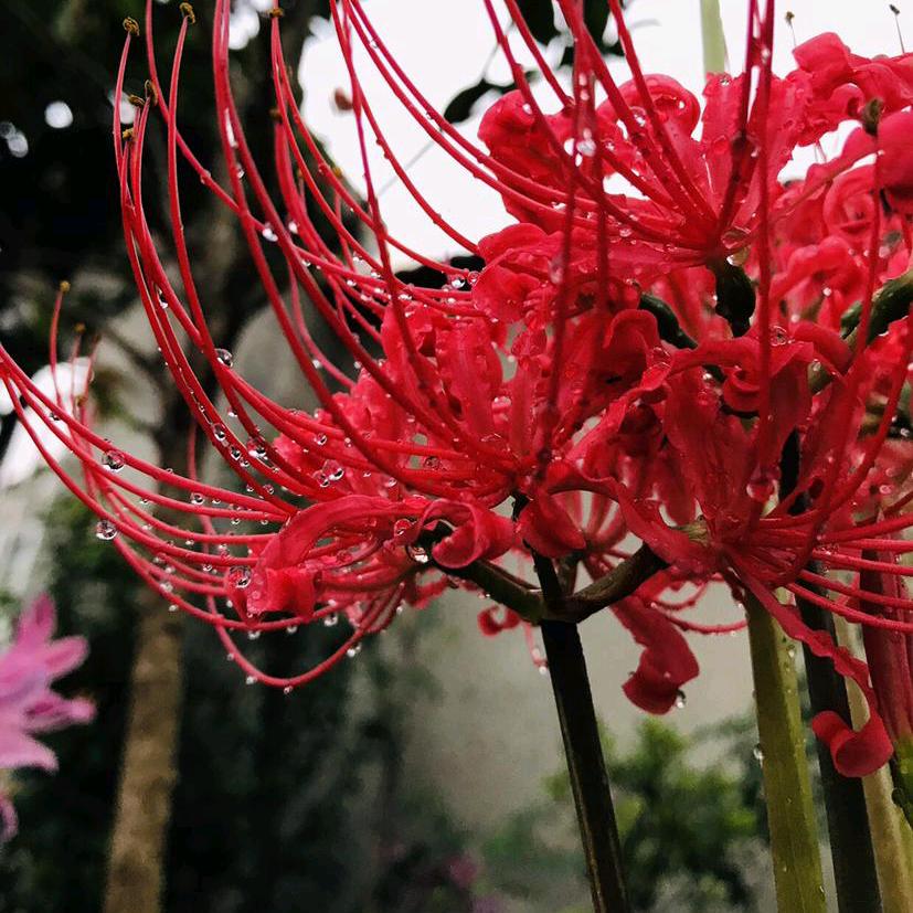 ༄ོ༊࿆我很累 但我无路可退*ꦿ໌້࿐