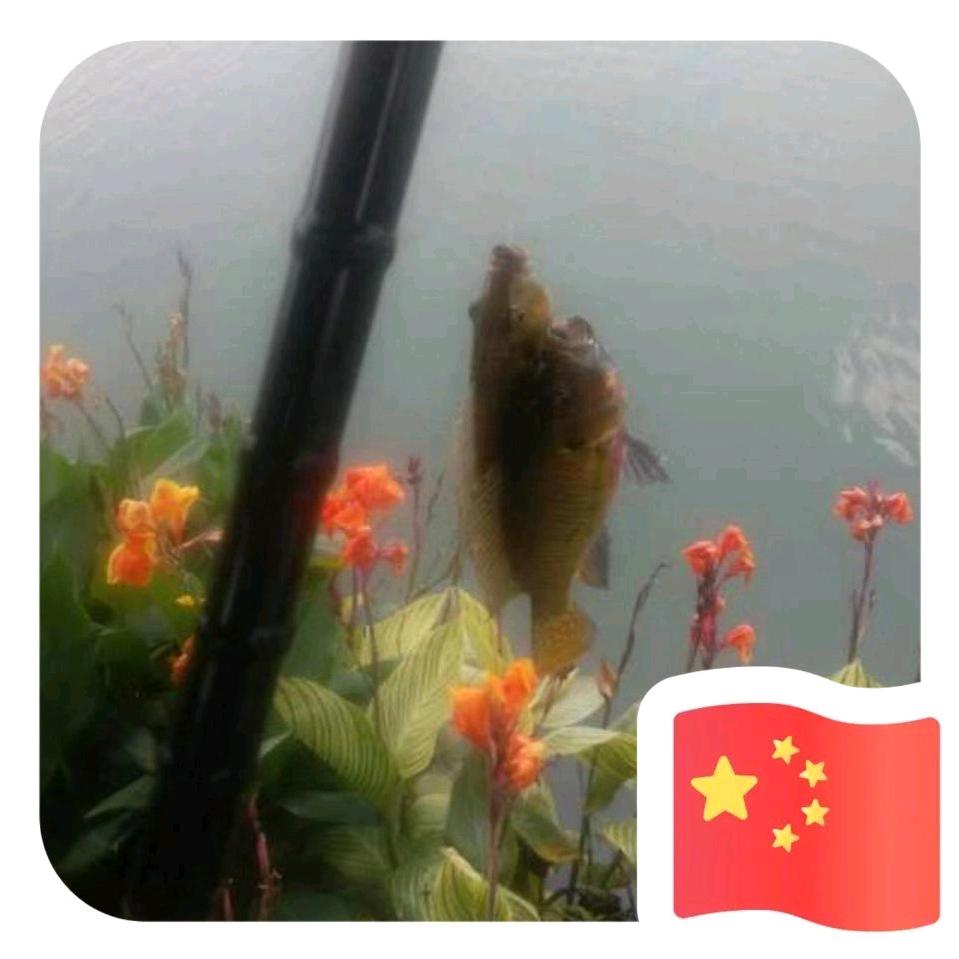 野狼