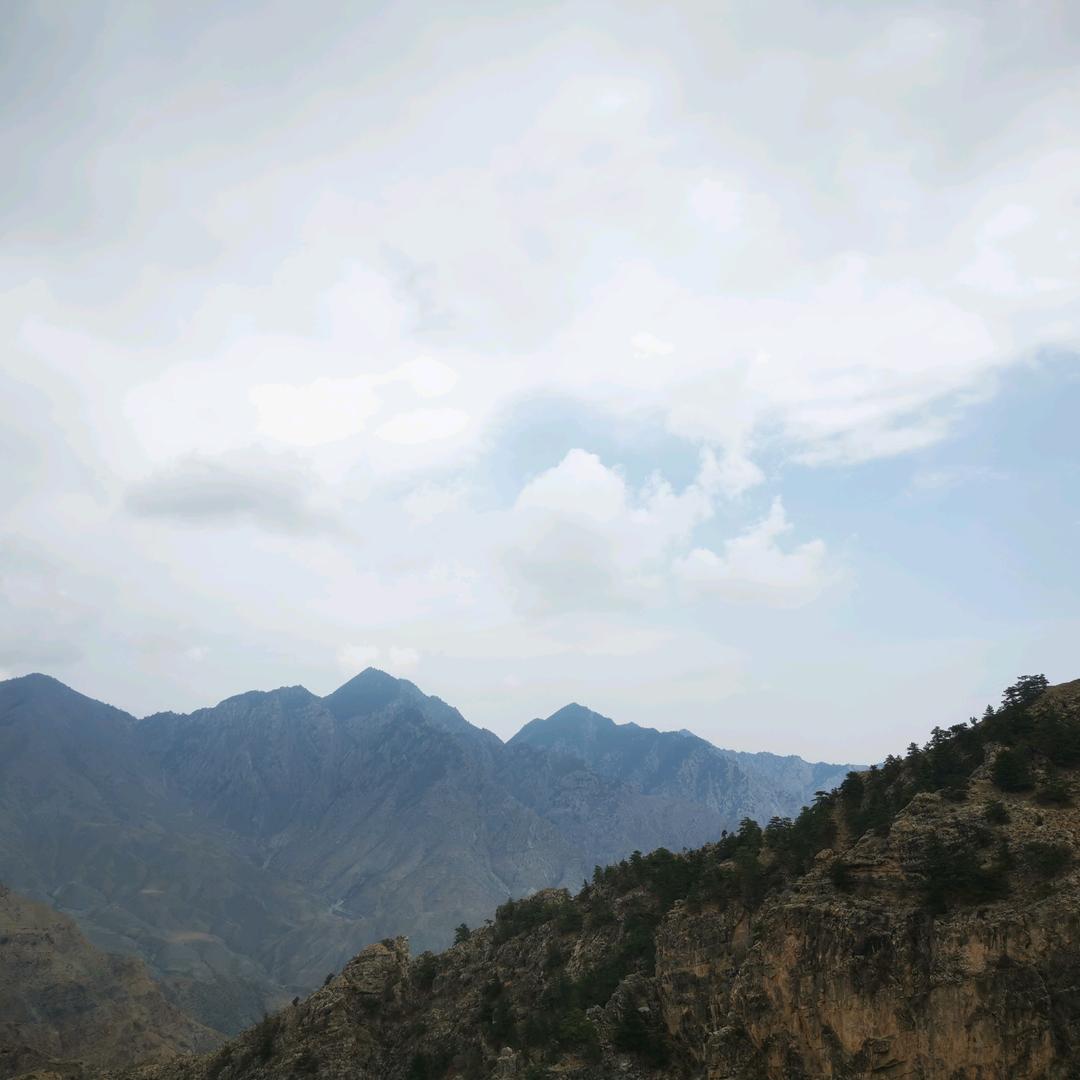 Nice本地生活推荐官（宁夏兔子）