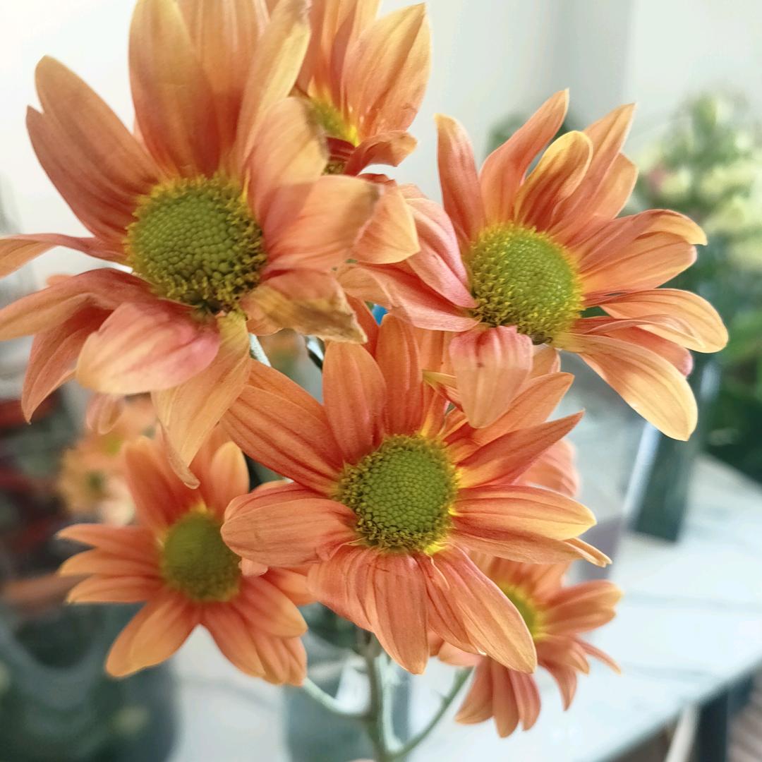 刘姐，鸡丝烧饼