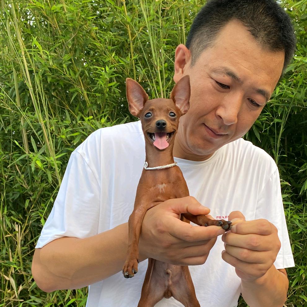 俺家鹿爸（俺家鹿鹿）