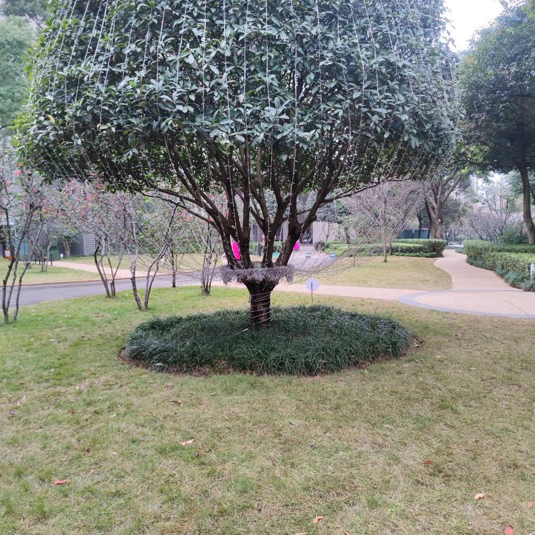 又是快乐的一天