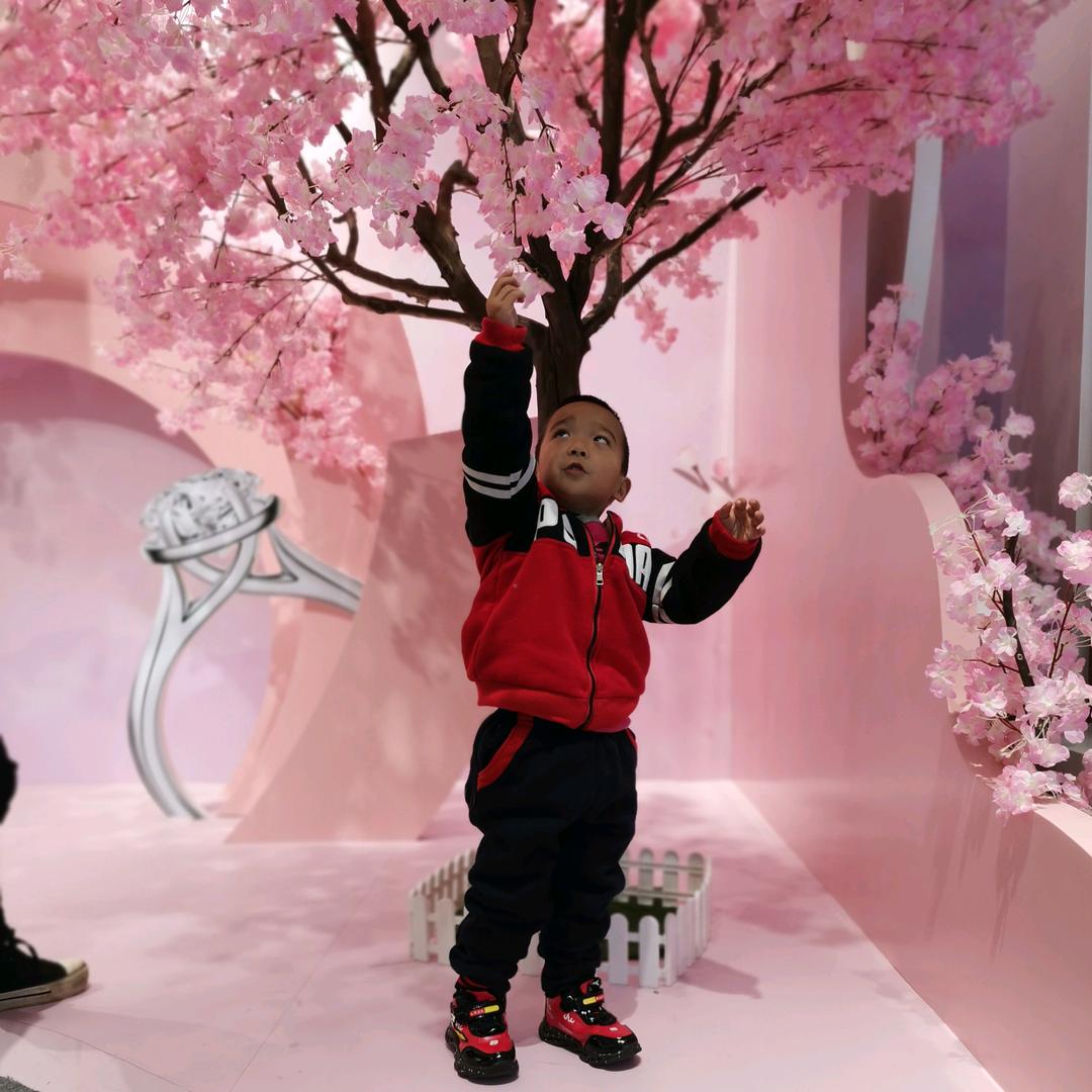 ღ᭄搞钱要紧🕊꧔ꦿ᭄