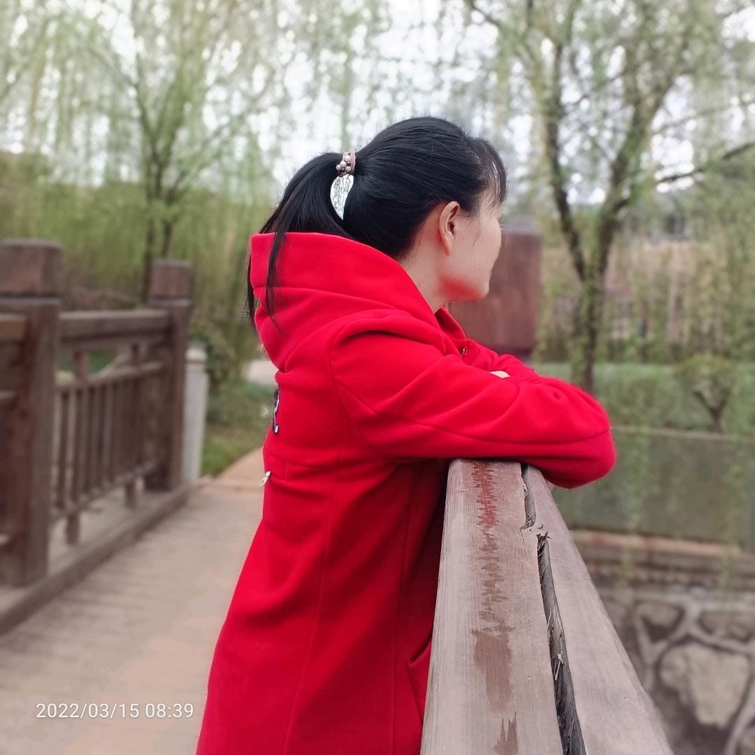 冰缘绿梦