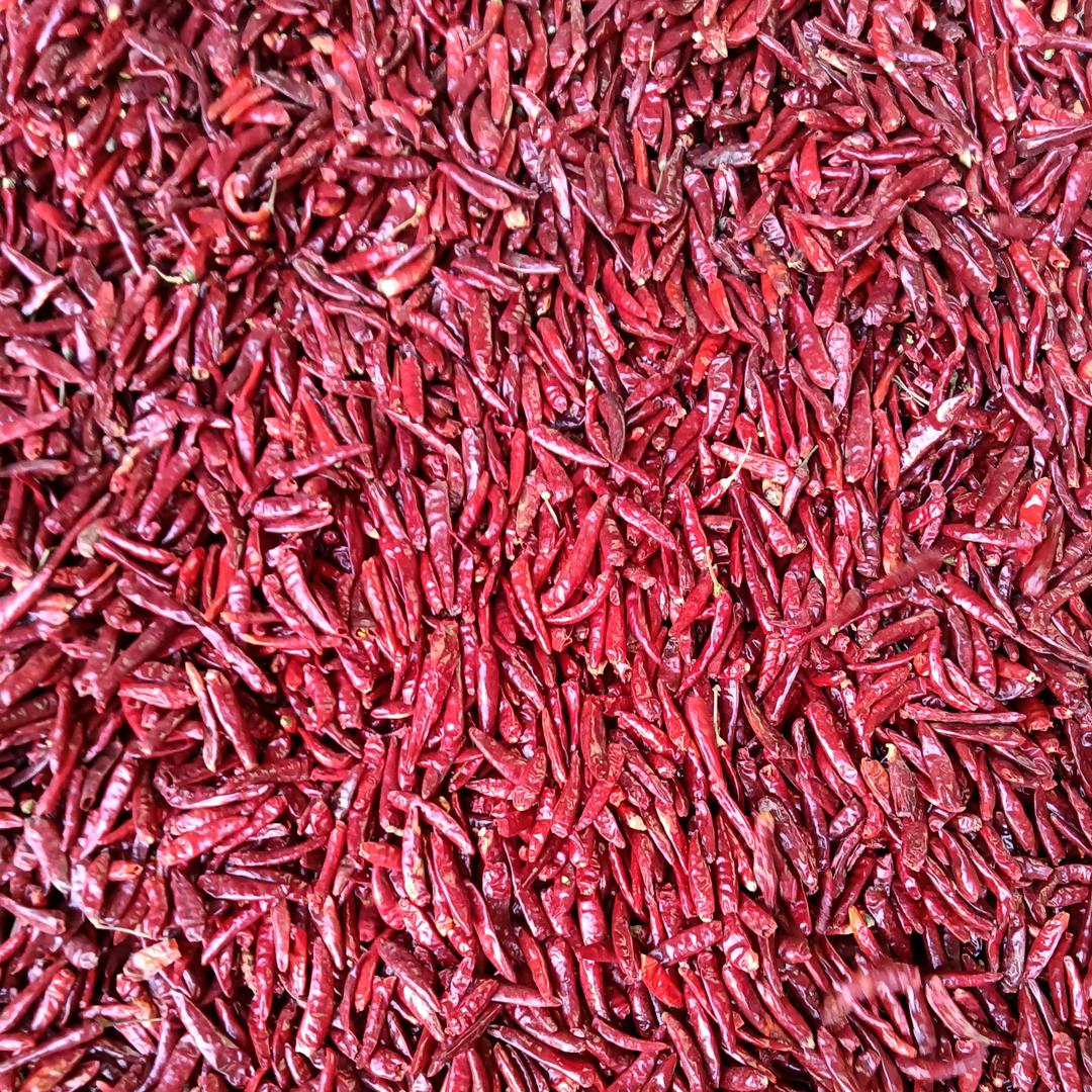 内黄，辣椒之乡