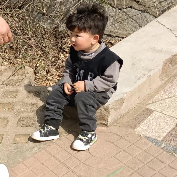 费县瑞宏阳木业